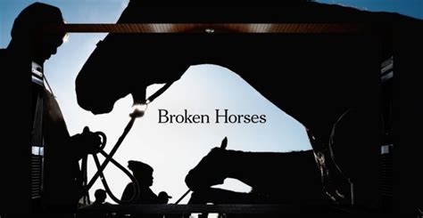 cartoonhd broken horses